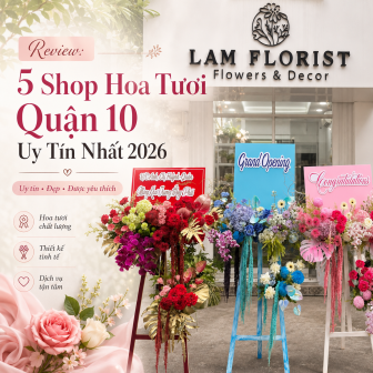 Review: 5 Shop Hoa Tươi Quận 10 Uy Tín Nhất 2026 
