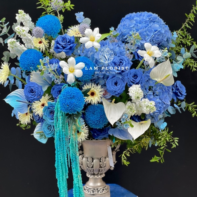 Blue Symphony – Giai điệu xanh của yêu thương