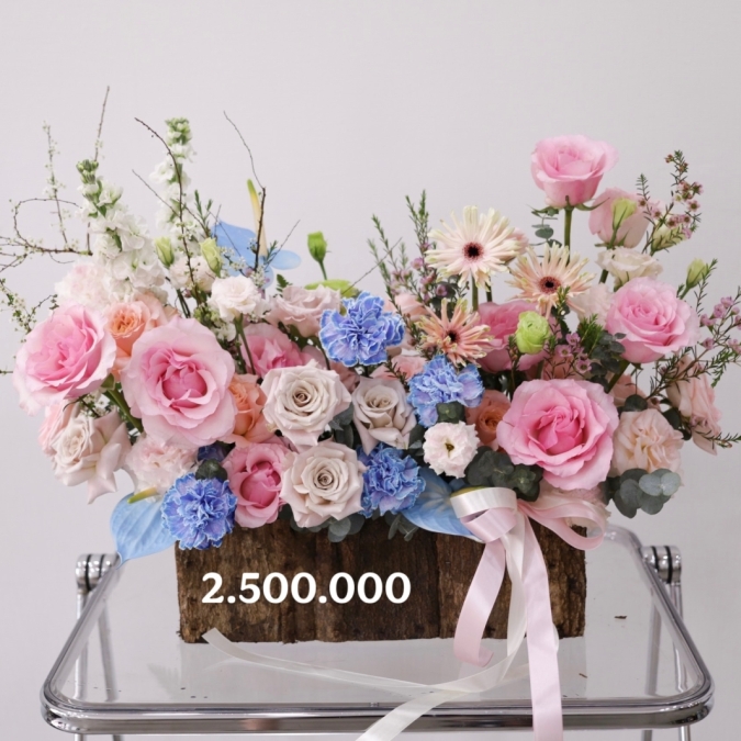 “Sắc Xuân Thượng Hạng – Premium Spring Bloom”