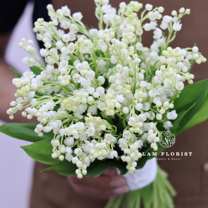 Snowbell Elegance – Thanh Khiết Chuông Tuyết