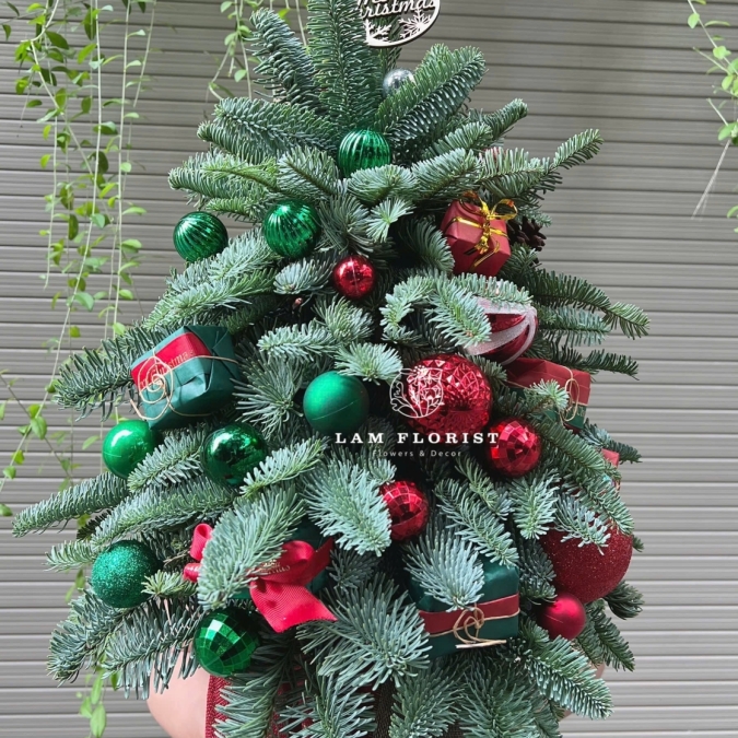  “Emerald Christmas” – Cây Thông Đan Mạch Xanh Ngọc (hoặc tiếng Việt: “Sắc Xanh Giáng Sinh”)