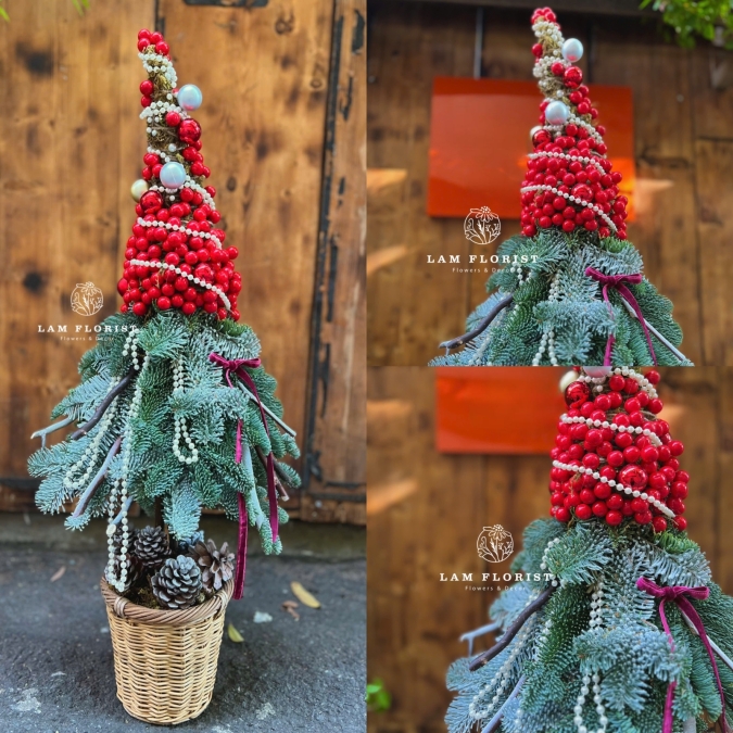  “Santa’s Hat” – Cây Thông Nón Giáng Sinh Đan Mạch