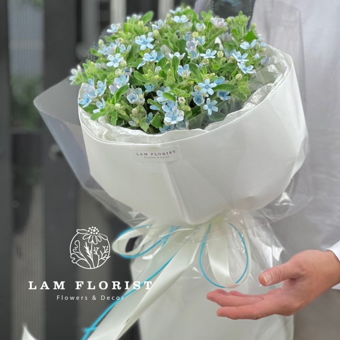 Lam Tinh Dịu dàng xanh