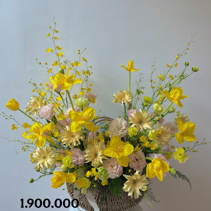 “Dịu Nhẹ Hoàng Kim – Soft Golden Bloom”