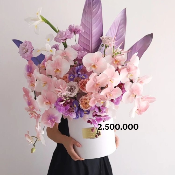 Mystic Orchid Symphony – Giao Hưởng Lan Tím Huyền Bí
