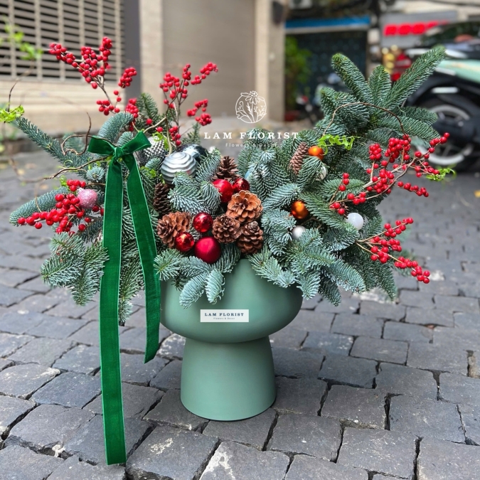 “Nordic Cheer” – Chậu Thông Hân Hoan Bắc Âu