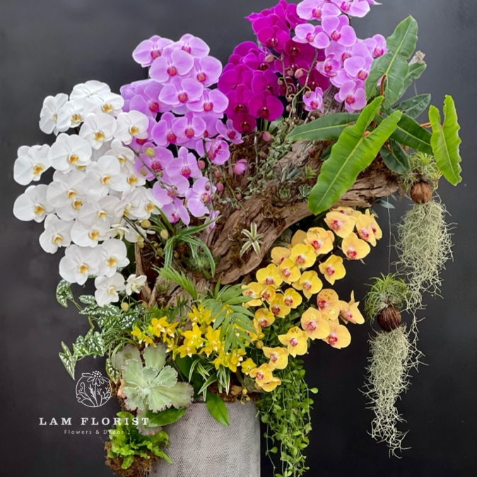 Sắc Ngọc Thiên Nhiên – The Orchid Symphony