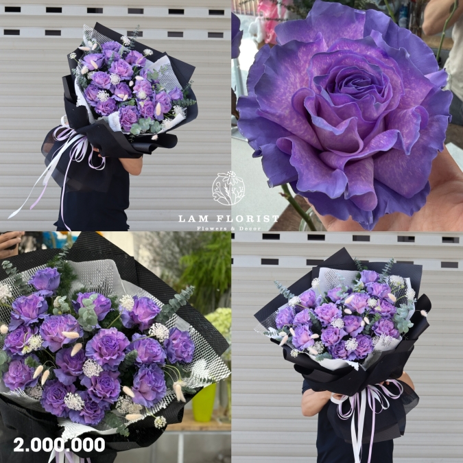 “Lavender Dream – Giấc Mơ Dịu Êm”