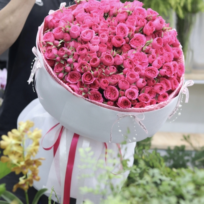 Sofia Royale – Vũ Điệu Hồng Kiêu Hãnh