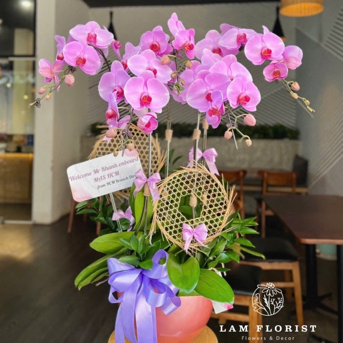 Chậu Lan Hồ Điệp Tím Nhạt 5 Cành 