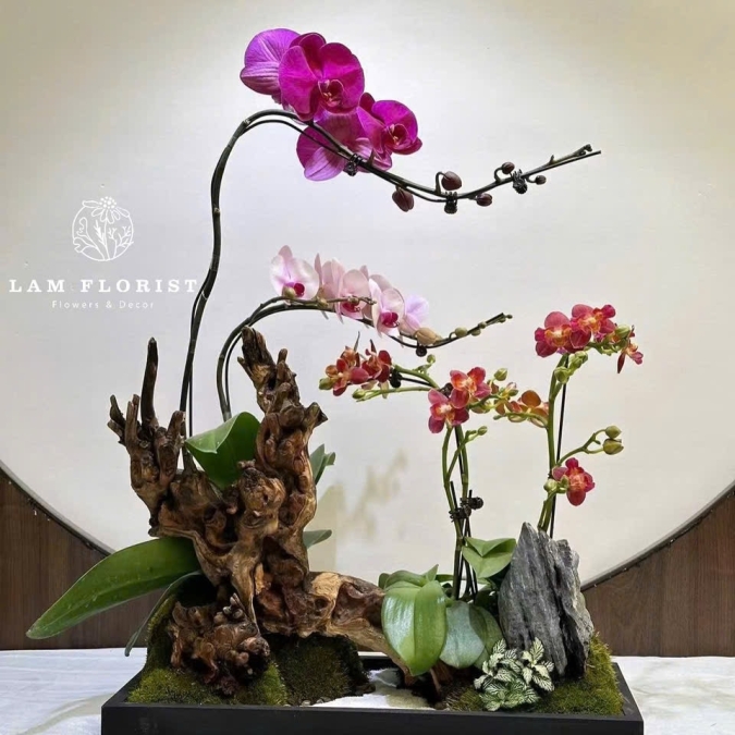 Khay Lụa Lan Tiểu Cảnh Cao Cấp