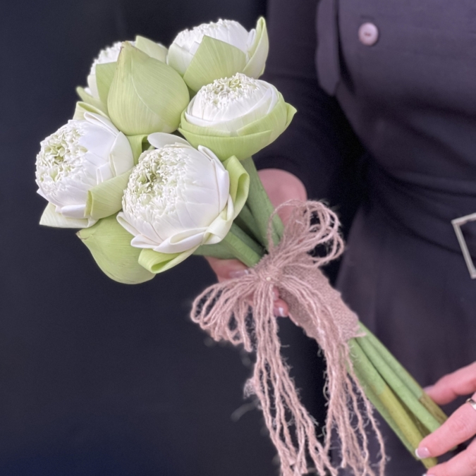 TINH LIÊN - HOA CÔ DÂU ĐẶC BIỆT