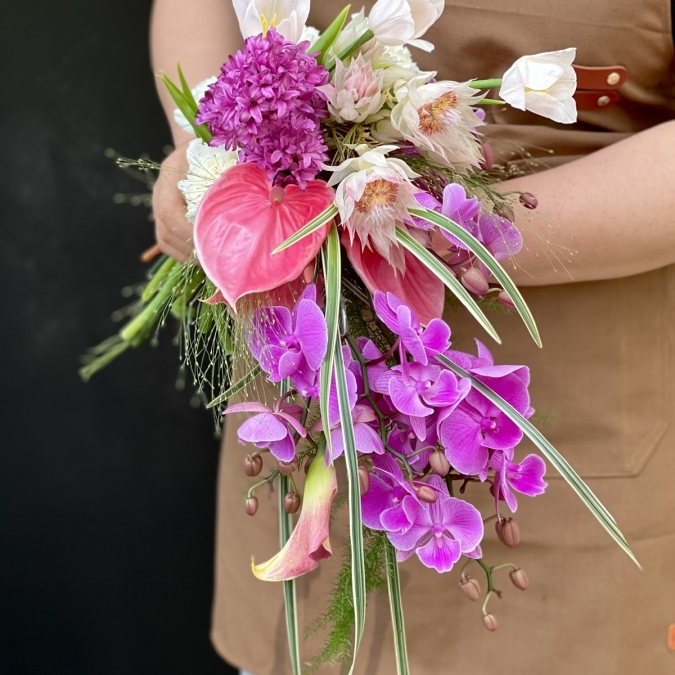  “Dáng Hồng Thác Mộng"