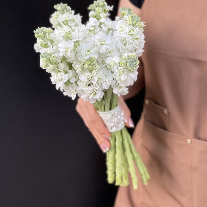 TÌNH SƯƠNG TRẮNG - HOA CƯỚI