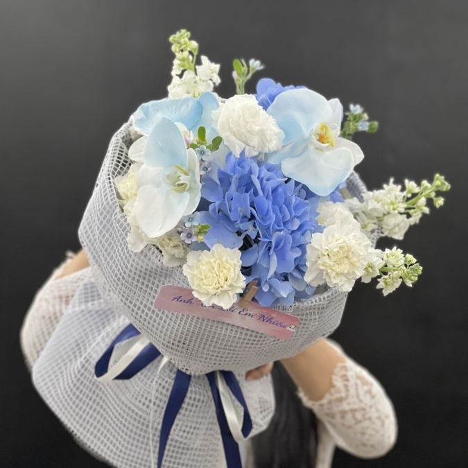 “Blue Serenade – Giai Điệu Xanh”