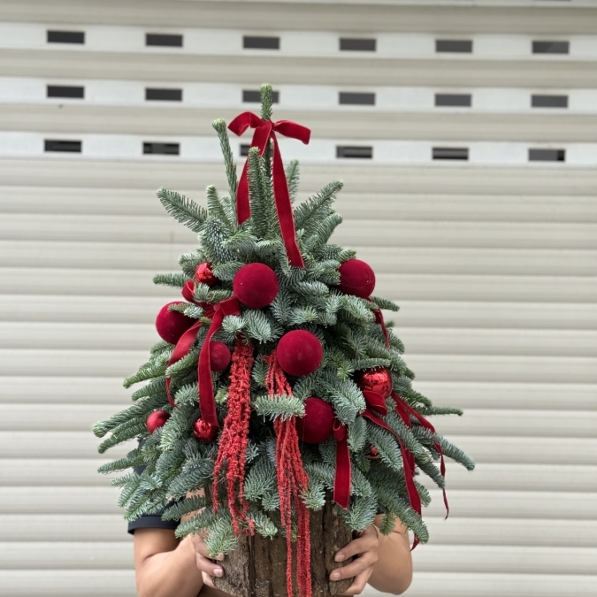  “Crimson Noel” – Cây Thông Giáng Sinh Đan Mạch