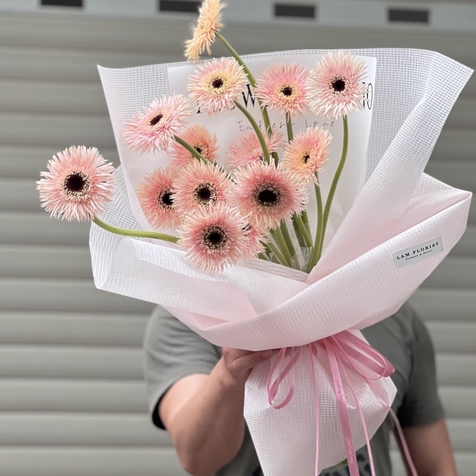 Bó hoa Đồng tiền kép nhẹ nhàng