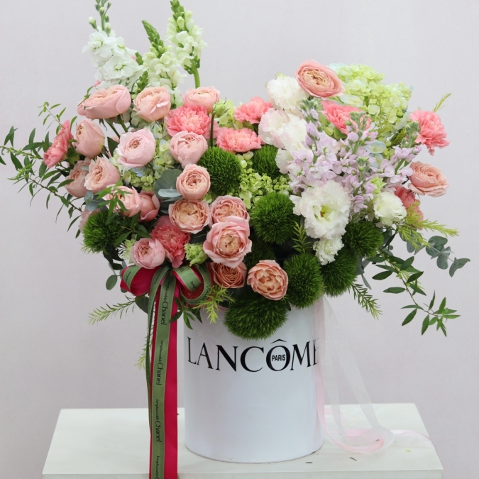 Enchanted Pastel Symphony – Giao Hưởng Sắc Pastel