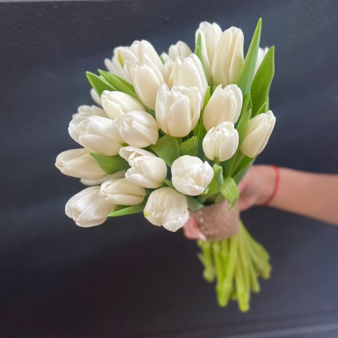 Hoa cưới Tulip trắng  đầy đặn