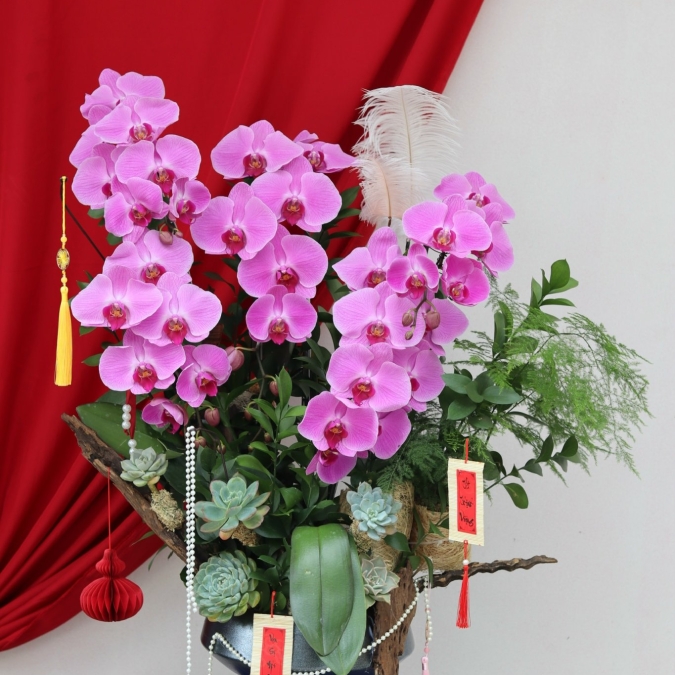 “Tử Ngọc Thanh Nhã – Dịu Dàng Phú Quý”