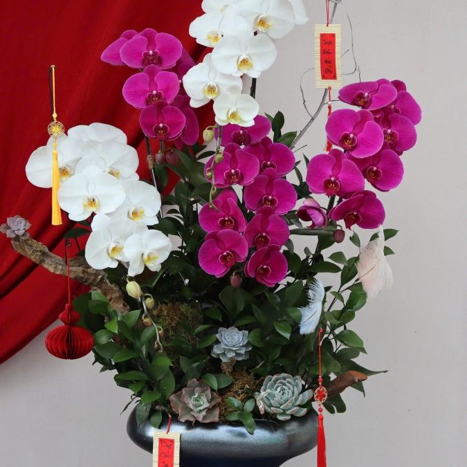 “Song Hỷ Phú Hoa – Sắc Xuân Giao Hoà”