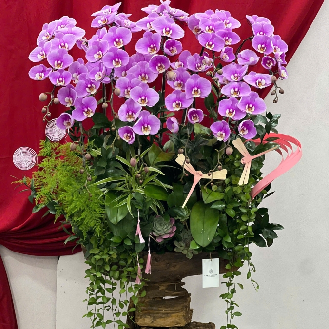 “Tử Vân Thịnh Vượng – Sắc Hoa Vượng Khí”