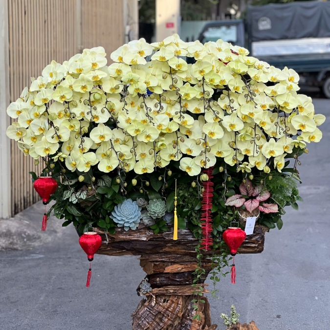 “Kim Mộc Phú Quý – Vượng Khí Trường Tồn”