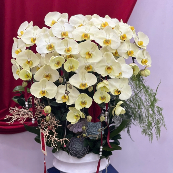 “Kim Ngọc An Nhiên – Thanh Sắc Phú Quý”