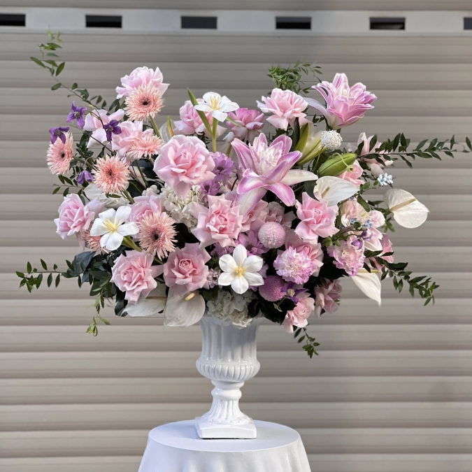 “Blush Serenity – Bản Tình Ca Dịu Dàng”