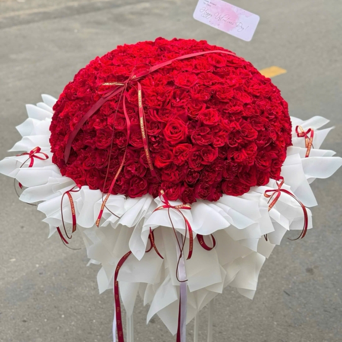 “300 Hồng Ohara Đỏ – Biển Tình Bất Tận”