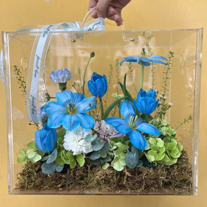 Box MICA Tulip 