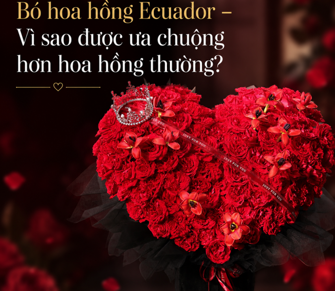 Bó hoa hồng Ecuador – Vì sao được ưa chuộng hơn hoa hồng thường?