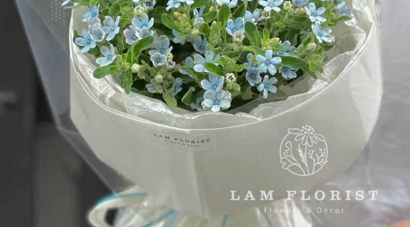 Hoa Bó dưới 500.000đ