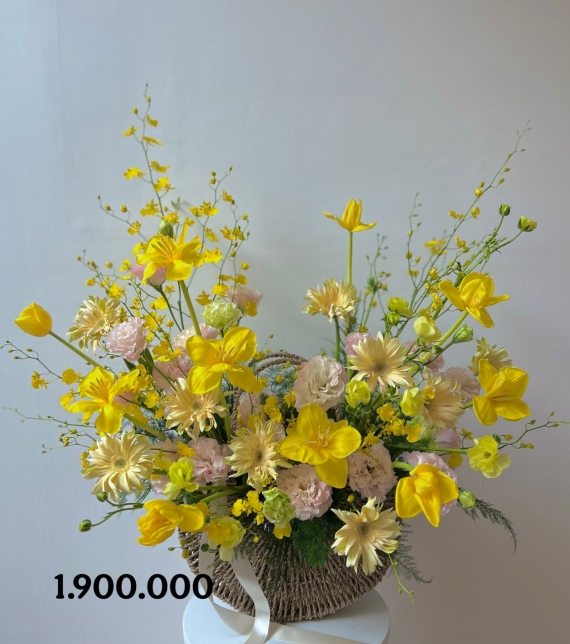 Anh Hoàng – Quận 8