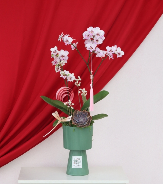 Chị Thanh – Quận 4