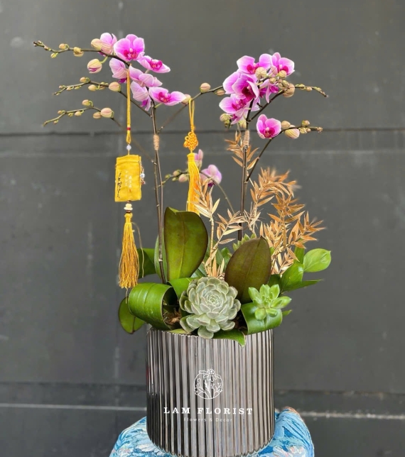 Anh Khánh – Quận 5