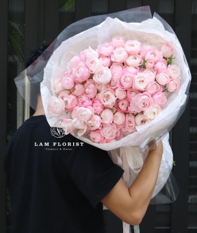 🌸 Pink Plume Symphony – Giai Điệu Hồng Thanh Khiết