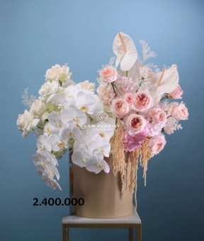 Orchid Elegance Box – Hộp Hoa Lan Thanh Lịch