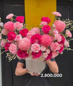 Hồng Vân Tiệc Sắc