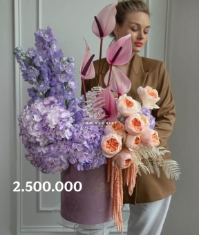 Violet Symphony Garden – Bản Giao Hưởng Tím