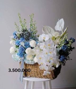 ✨ “Lam Ngọc Thượng Uyển – Blue Garden Élite”