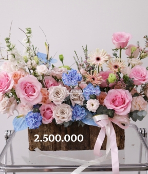 “Sắc Xuân Thượng Hạng – Premium Spring Bloom”