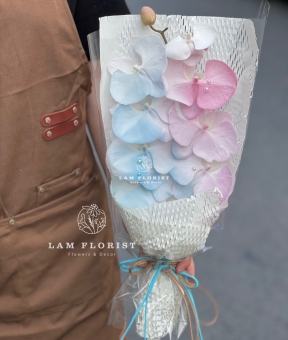 Bó 1 cành Lan Hồ Điệp Thanh Khiết