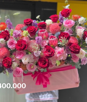 “Hồng Vân Dạ Tiệc – Grand Scarlet Peony Bloom”