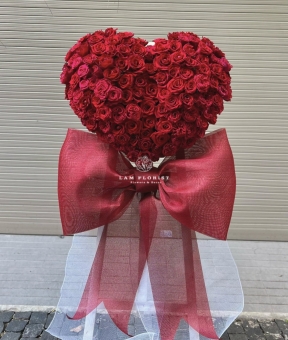 HỒNG TÂM CÁT HỶ