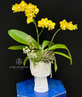 “Nắng Bình An”