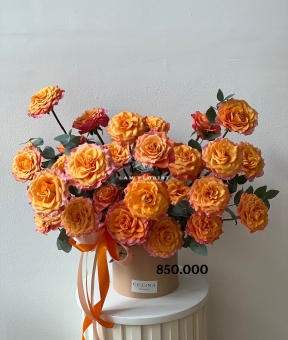 “Tinh Khôi Spirit – Pure Spirit Blossom”