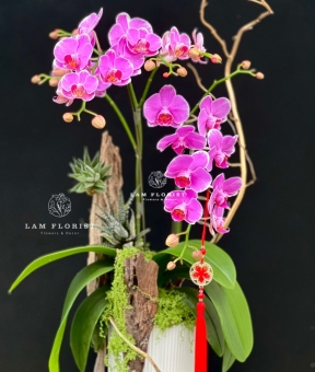 “Vũ điệu Tài Lộc”