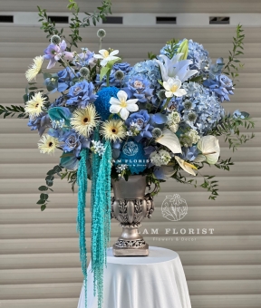 Blue Harmony – Giai điệu xanh thanh khiết  