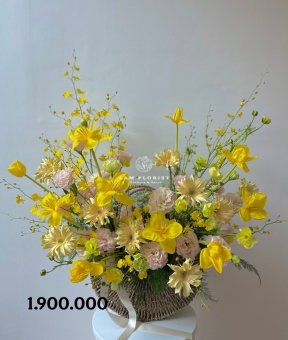 “Dịu Nhẹ Hoàng Kim – Soft Golden Bloom”